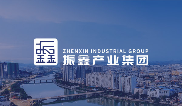 【招聘公告】中江振鑫产业集团2024年度第二次面向社会公开招聘工作人员计划调整及笔试公告